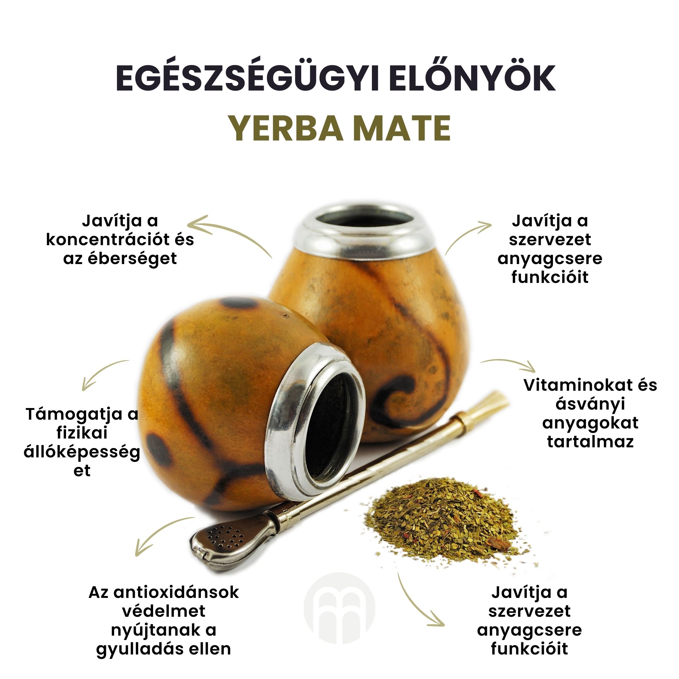 (Maďarština) Zdravotní přínosy  Yerba Maté